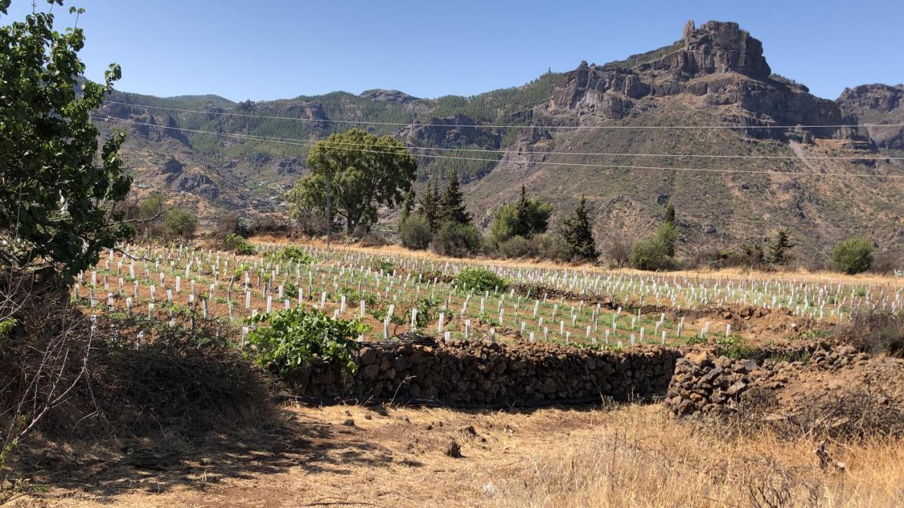 Casa-Finca El Maipez De Tejeda Las Palmas de Gran Canaria Eksteriør billede