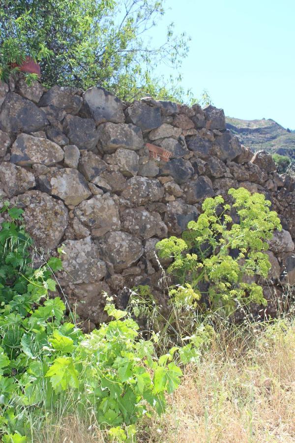 Casa-Finca El Maipez De Tejeda Las Palmas de Gran Canaria Eksteriør billede