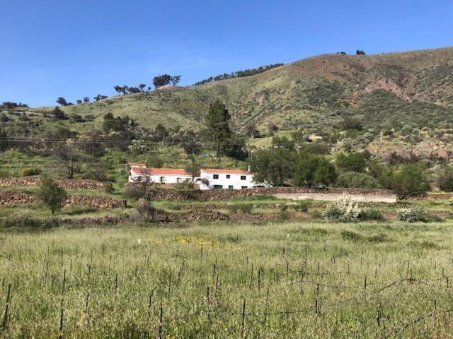 Casa-Finca El Maipez De Tejeda Las Palmas de Gran Canaria Eksteriør billede