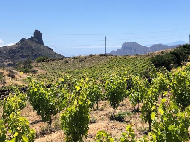 Casa-Finca El Maipez De Tejeda Las Palmas de Gran Canaria Eksteriør billede