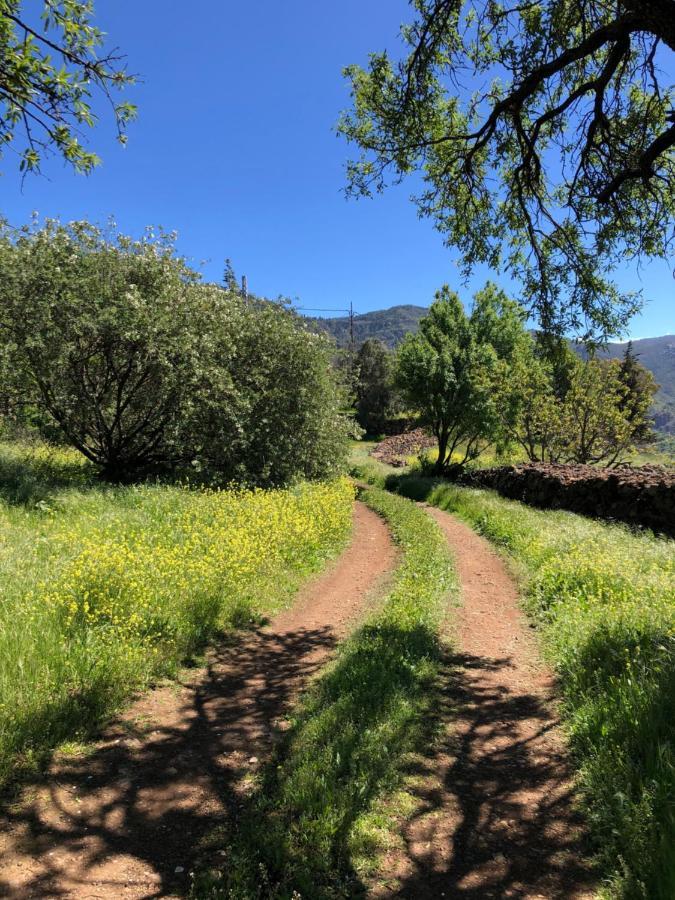 Casa-Finca El Maipez De Tejeda Las Palmas de Gran Canaria Eksteriør billede